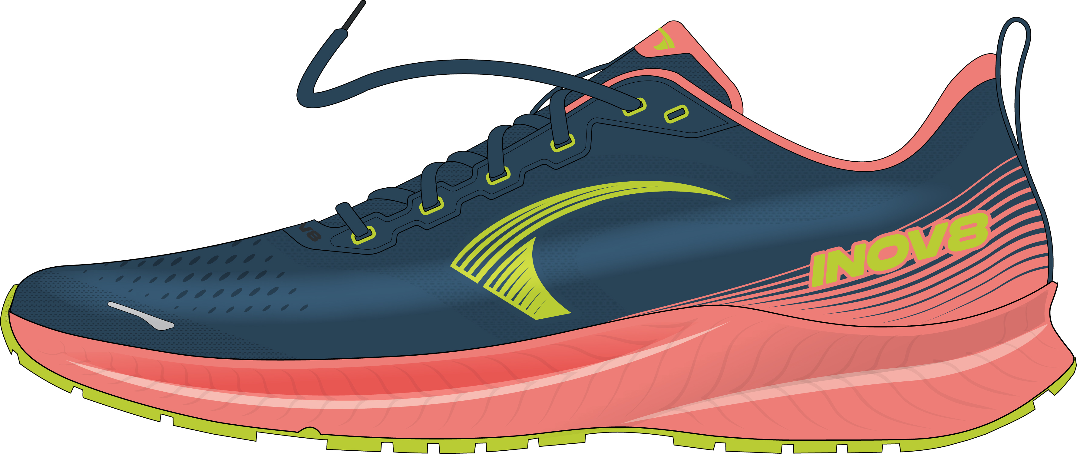 Image Inov8  Roadfly  Femme BLEU/CORAIL/LIME  W6.5